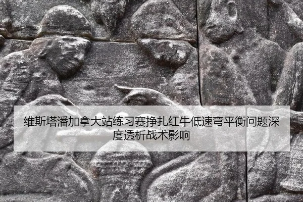wei-si-ta-pan-jia-na-da-zhan-lian-xi-sai-zheng-zha-hong-niu-di-su-wan-ping-heng-wen-ti-shen-du-tou-xi-zhan-shu-ying-2-467.jpg